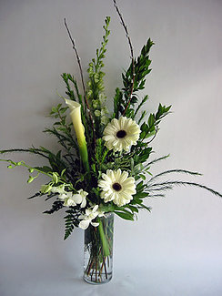 Angelic Gerberas Angelic Gerberas