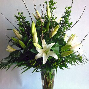 Oriental Lilies