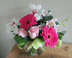 our products img1
