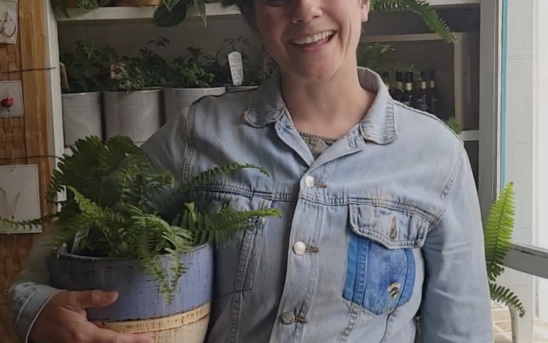 Ferns