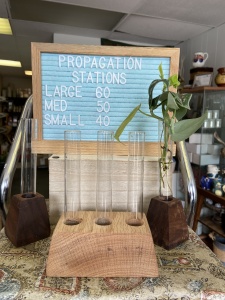 propagation stations 