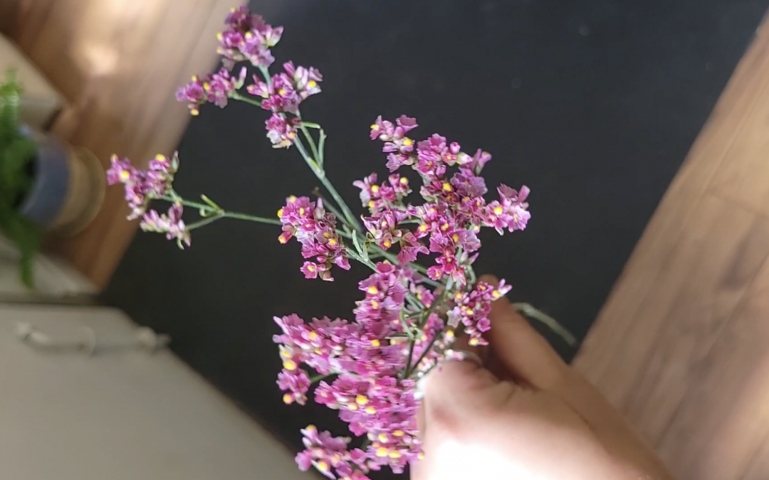 Limonium Flower